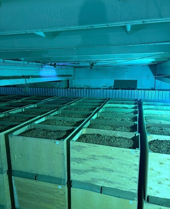 5ad0b861-80c9-4ddd-af67-833ca87b2ba8-изображение whatsapp 2025-09-30 в 14.21.37_95c09782.jpg